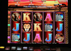 ayx入口电脑免费版